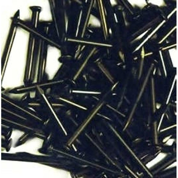 Hoenderdaal fasteners producten staalspijkers a 100st 2 5x40