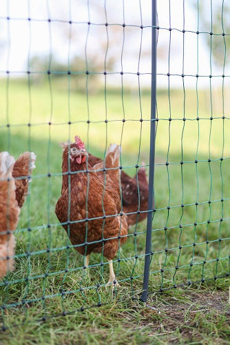 Ako producten poultrynet premium wel elektrificeerbaar 25m