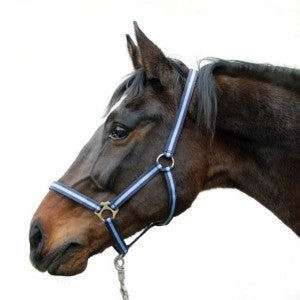 Abi producten hippo halster blauw 0 shetland