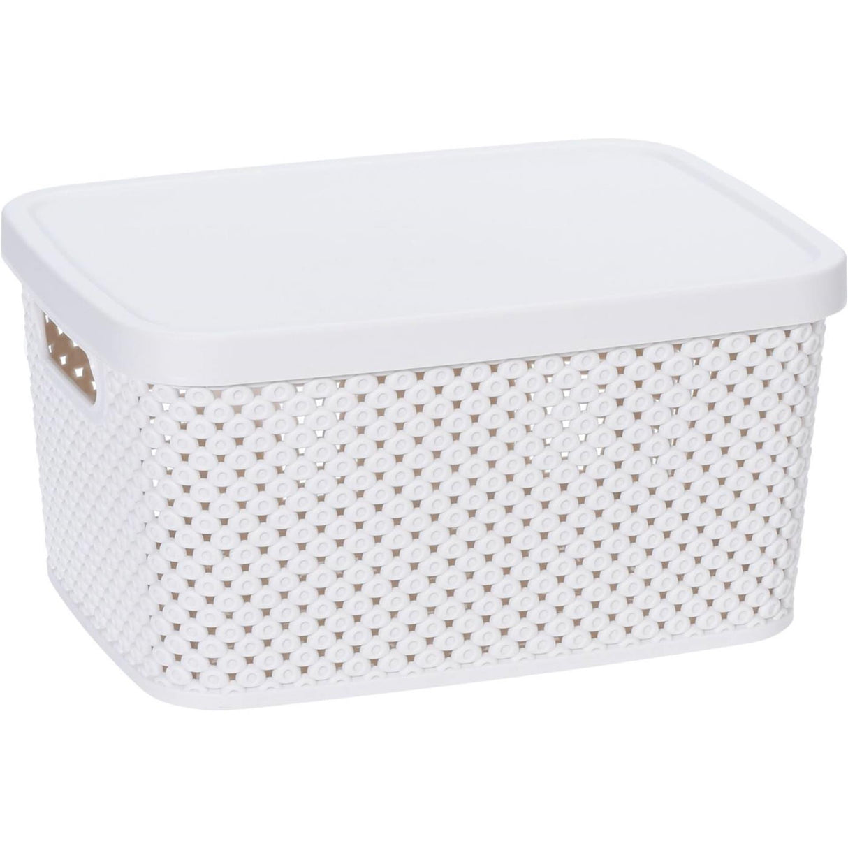 Storage solutions opbergdoos met deksel 3,5l pastel