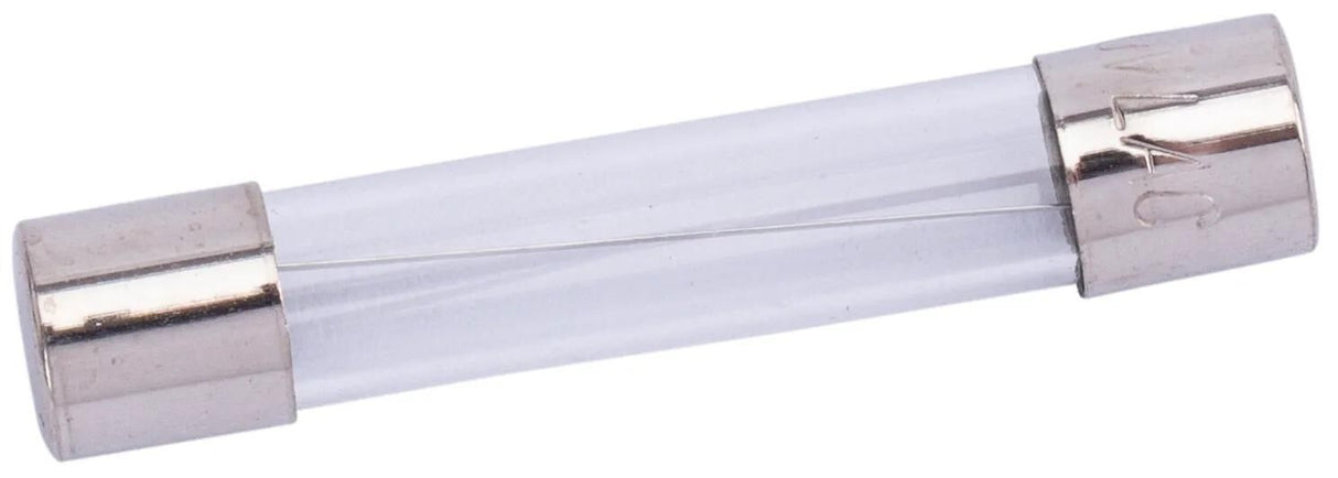 Spahn glaszekering glass fuses 10a 6x32 mm (10pcs)