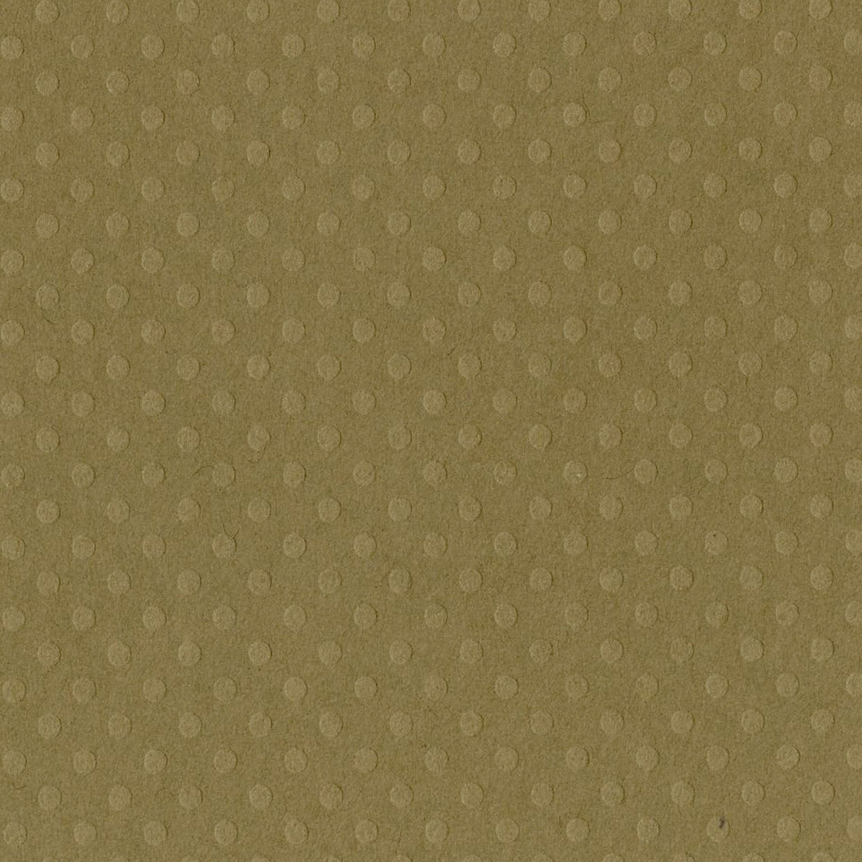 Bazzill • dot swiss 30,5x30,5cm mud puddle