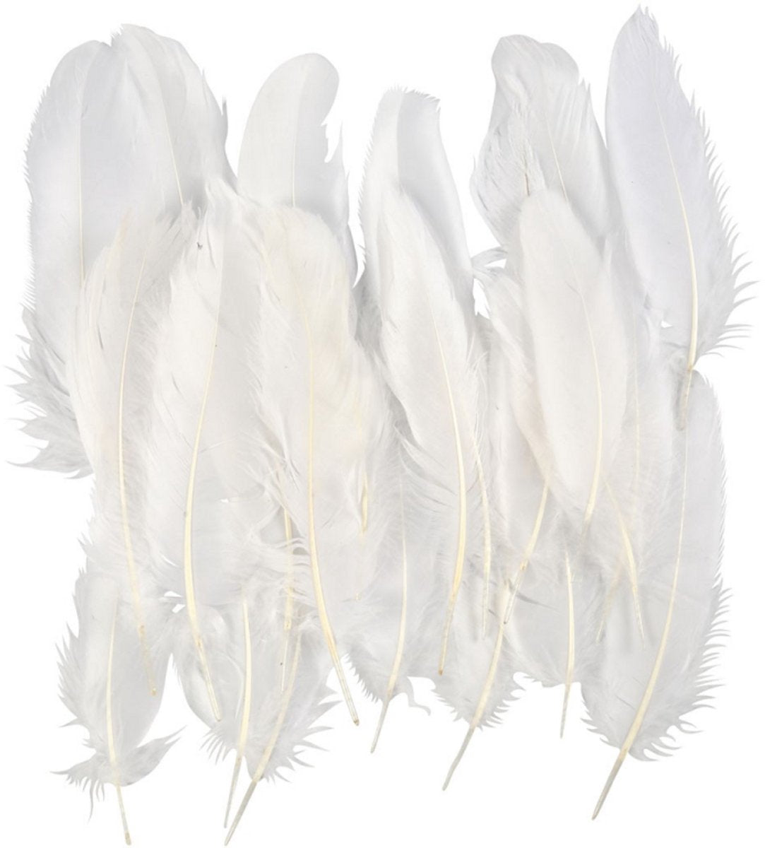 Creativ company cc ganzenveren 15 cm wit 70 stuks