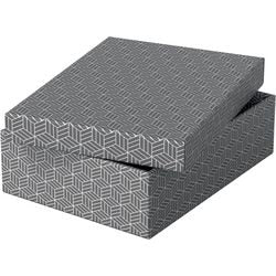 Opbergdoos esselte 628285 medium plat 9 l grijs