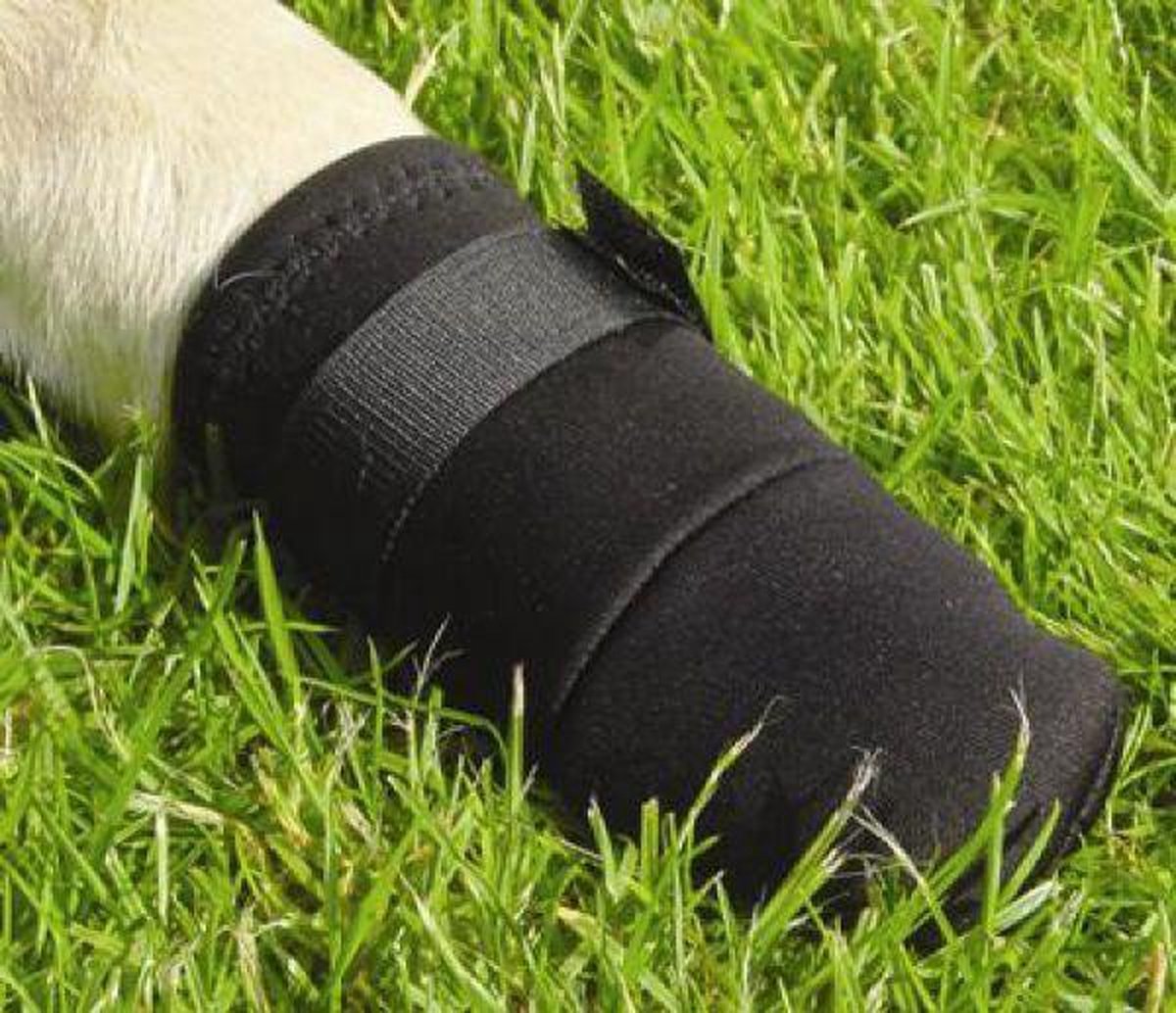 Beeztees hond beschermingsschoenen xl - hondensokken - pootbeschermer - zwart - 2st - 19,5x9,5x9 cm
