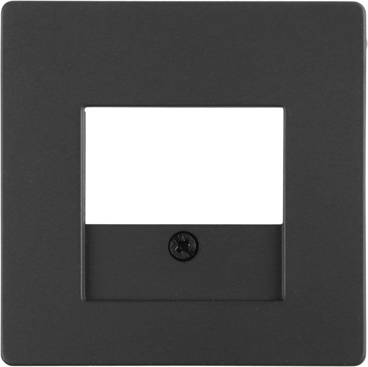 Berker q1 afdekplaat - tae usb - rvs-kleur