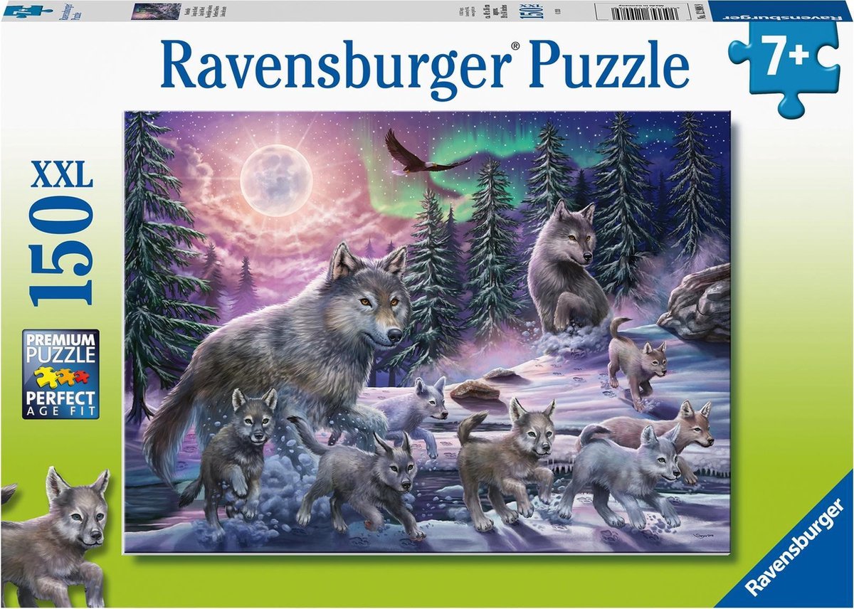 4005556129089