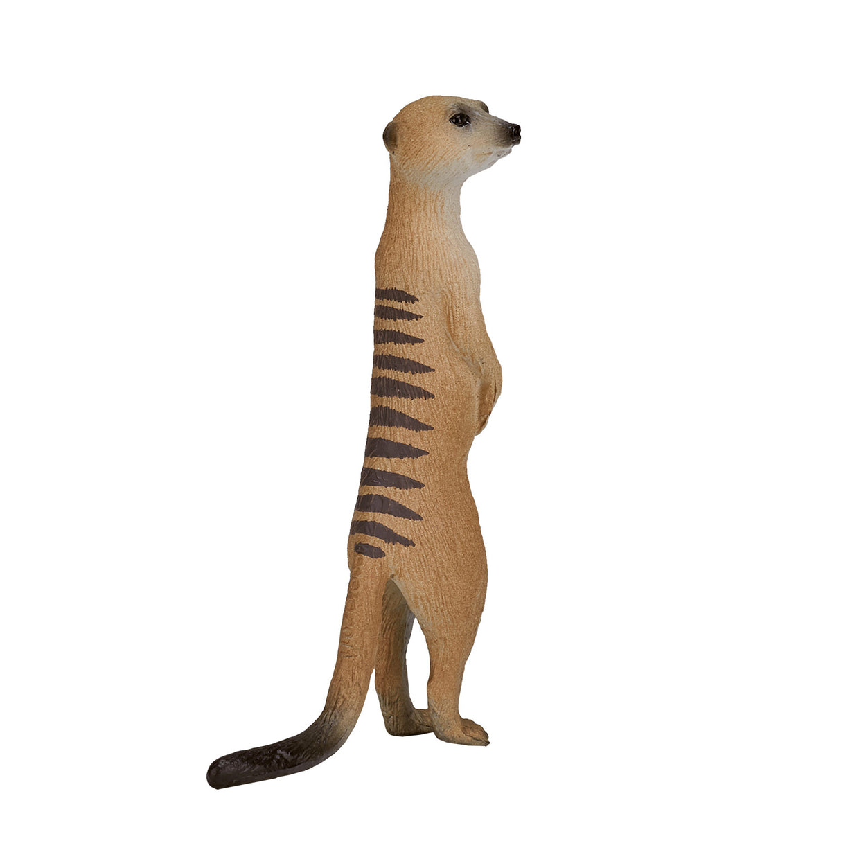 Mojo wildlife stokstaartje - 387125