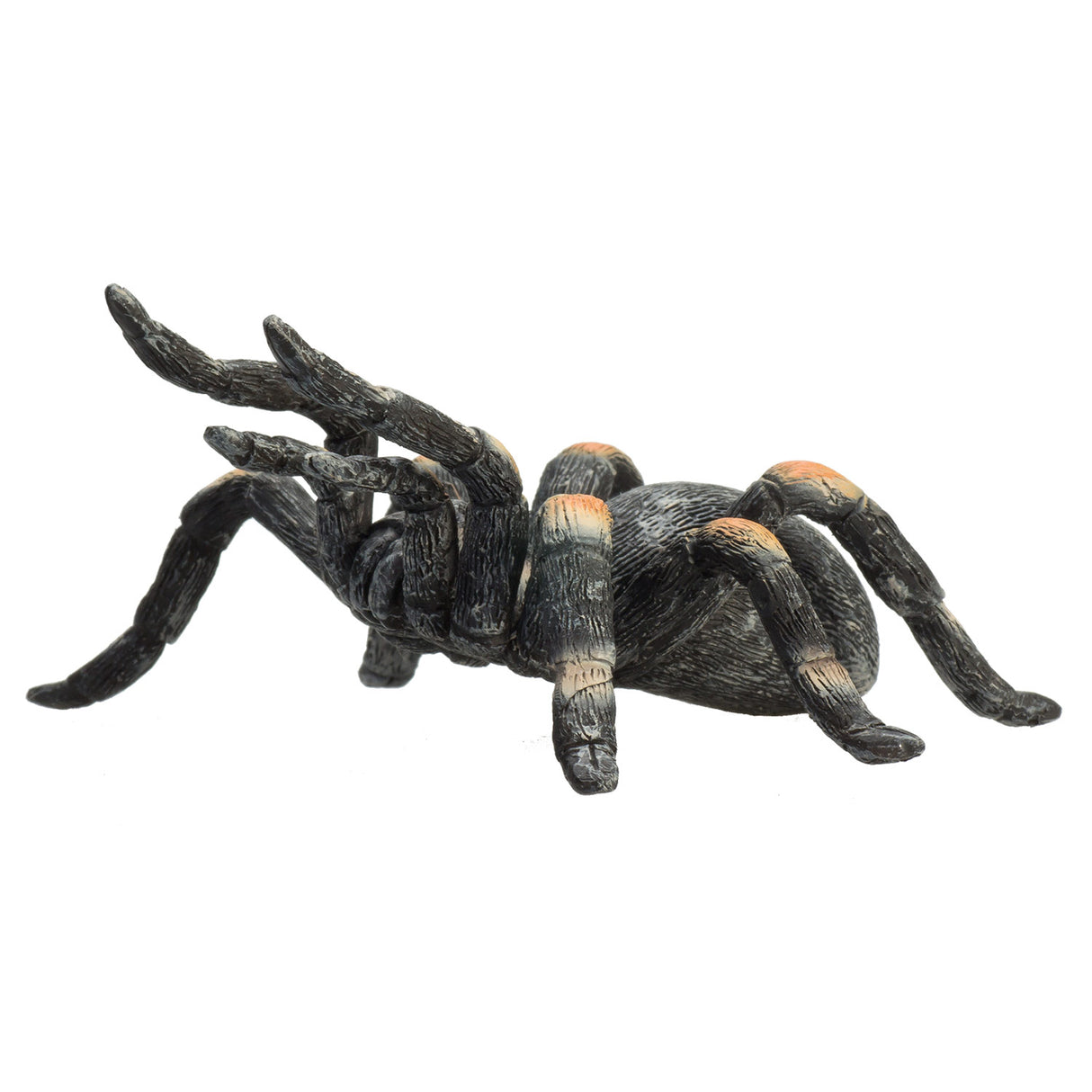 Mojo wildlife rode tarantula - 387213