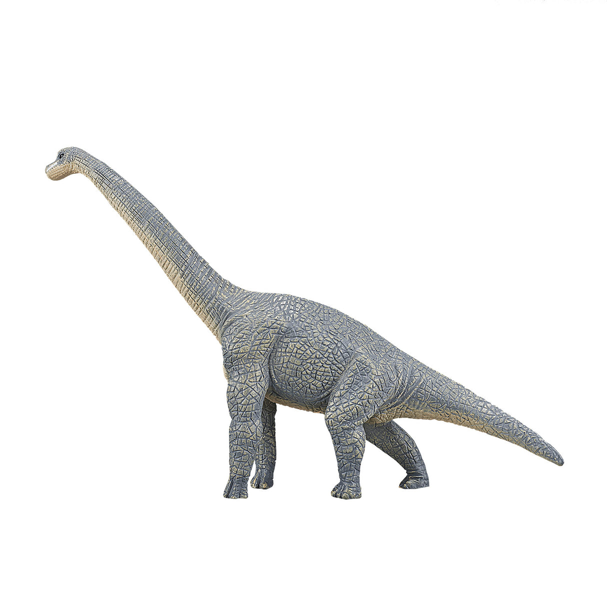 Mojo prehistorie brachiosaurus - 387044