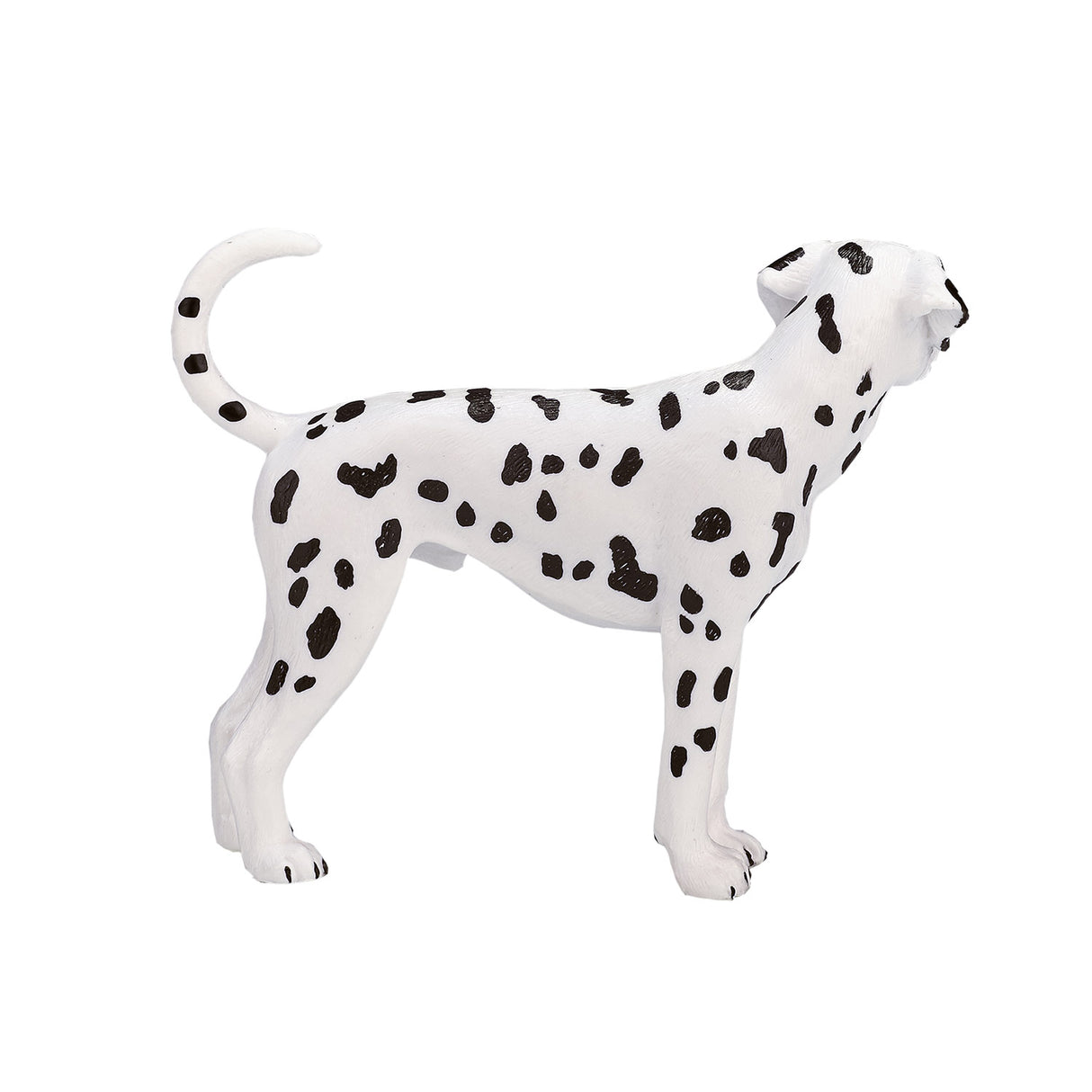 Mojo farmland dalmatiër - 387248