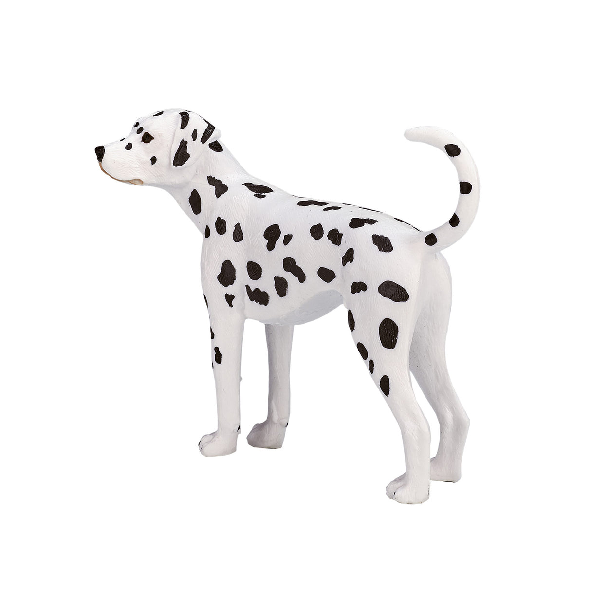 Mojo farmland dalmatiër - 387248