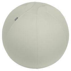 Leitz ergo actieve zitbal - anti-rol design - 65cm - lichtgrijs
