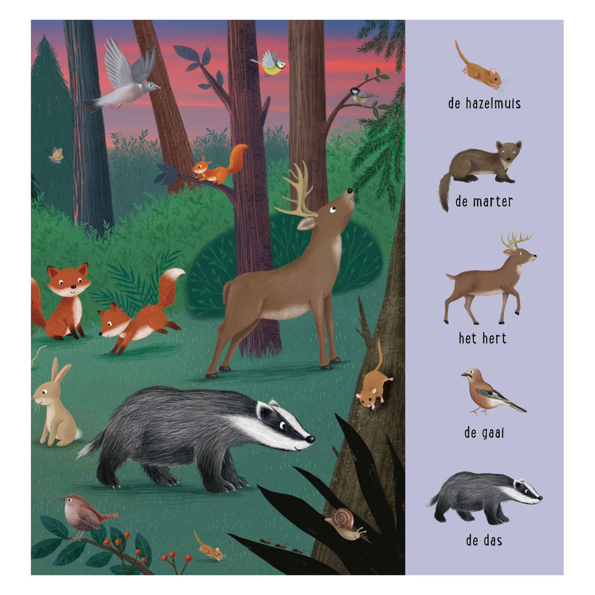 Deltas zoekboek - dieren uit de hele wereld