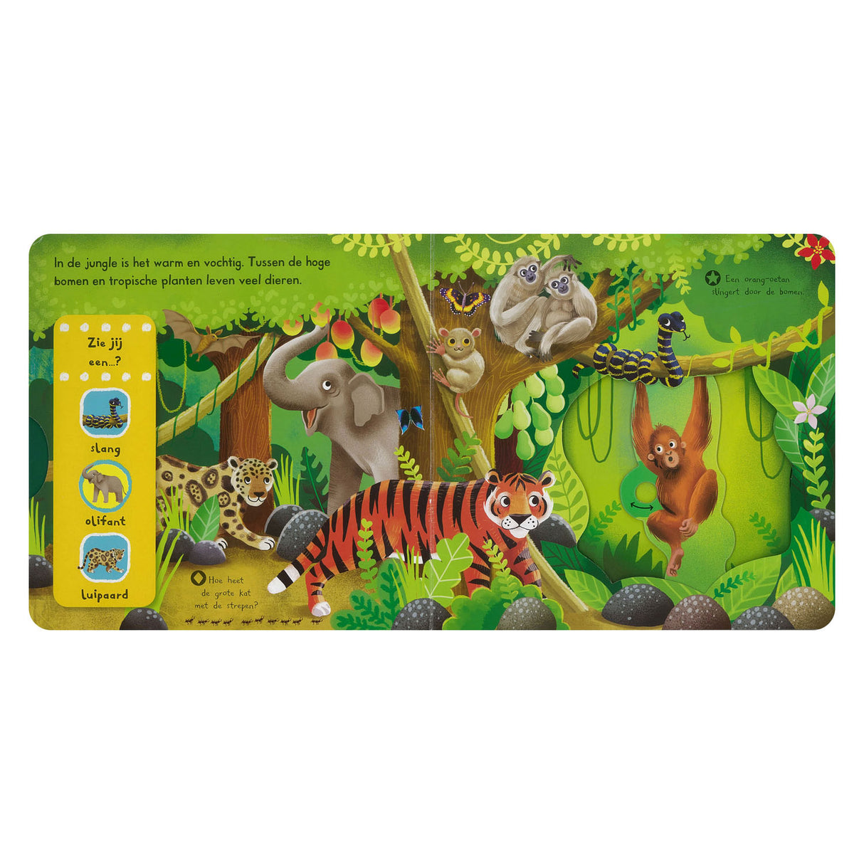 Deltas kijk en ontdek! - in de jungle flapjesboek