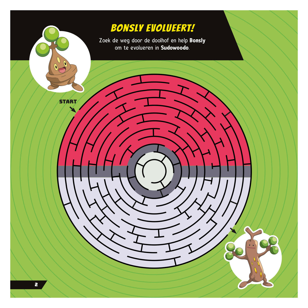 Pokemon pokémon spelletjesboek