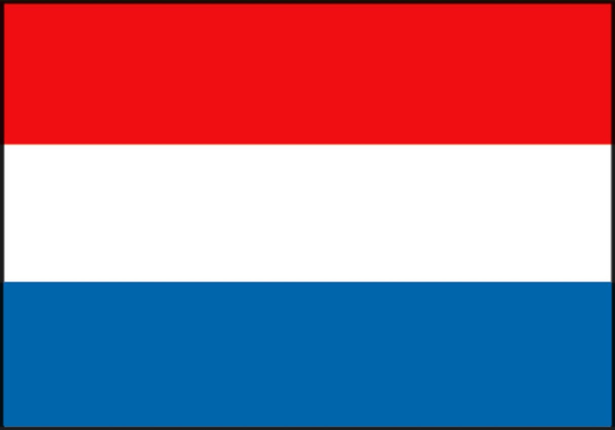 Dokkumer vlaggen centrale vlag nederland 200x300cm spun-poly