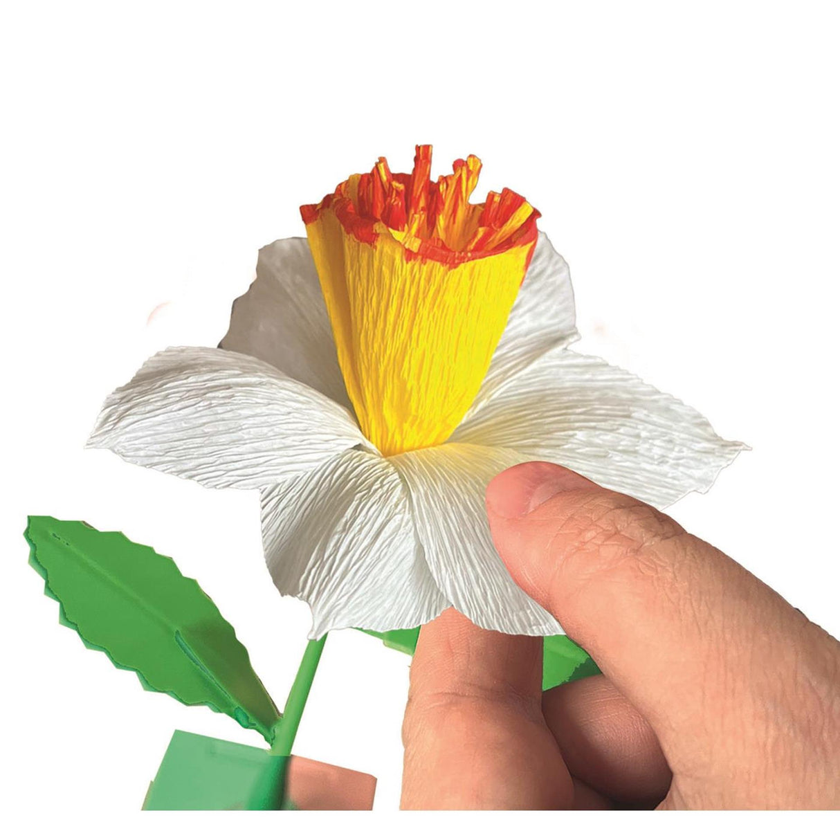 Clementoni idea - geurende bloemen maken - narcis - vanaf 8 jaar - 2 stuks