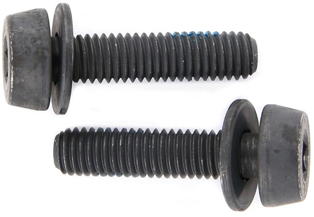 Campagnolo mounting bolts for disc brakes (pack of 2) | 29 mm