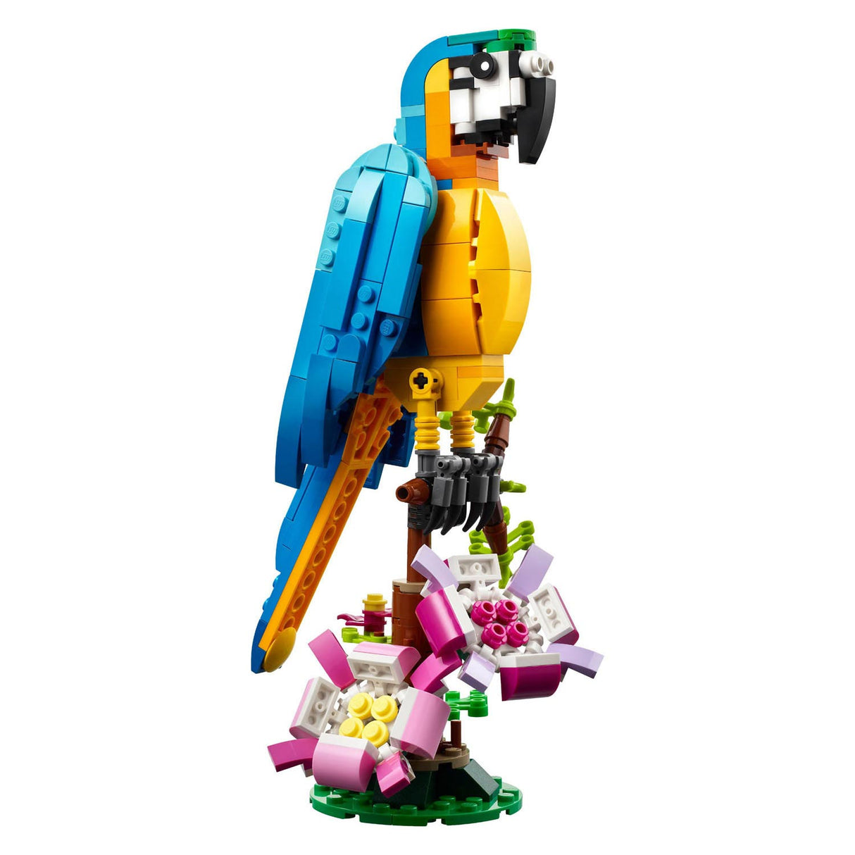 Lego creator 3in1 exotische papegaai - kikker - vis dieren speelgoed set voor kinderen - 31136
