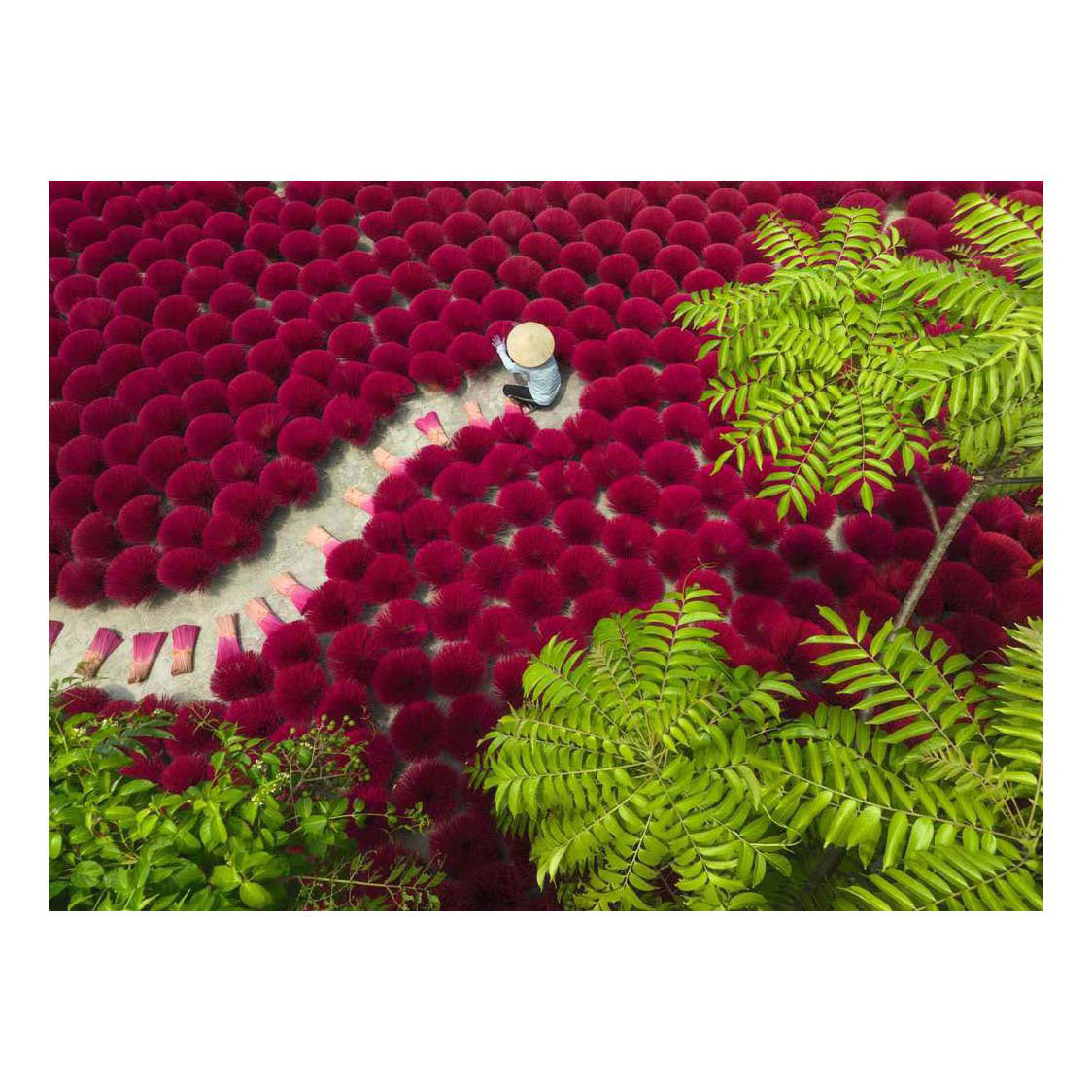 Ravensburger – een zee van rood – legpuzzel – 500 stukjes