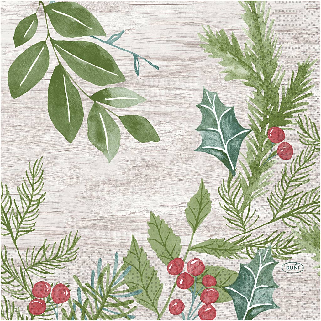 Https: www.cchobby.nl servetten-afm-33x33-cm-20-stuk-1-doos-234745