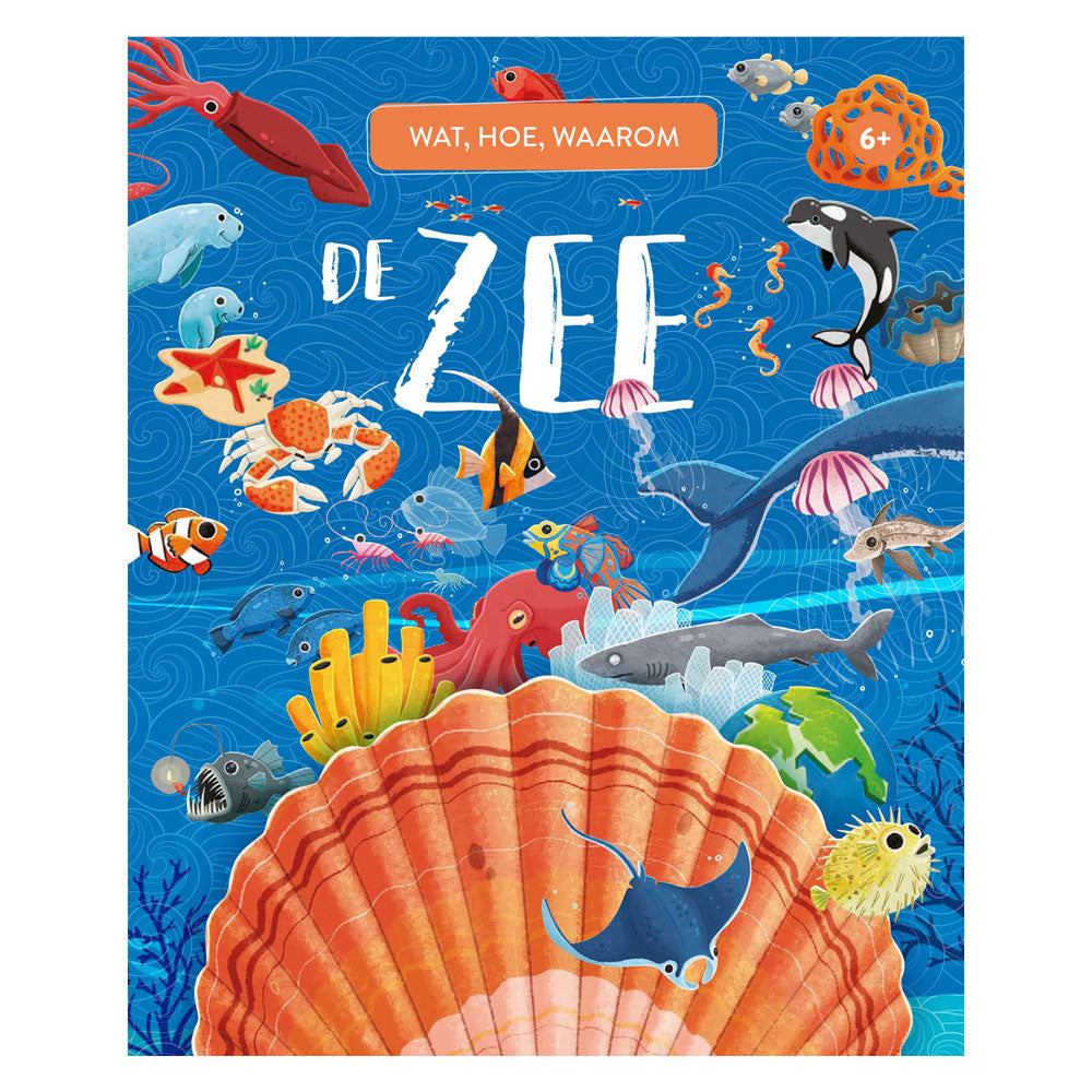 Rebo publishers de zee - wat, hoe, waarom 6+