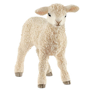 Schleich 13883 lam | 5 stuks