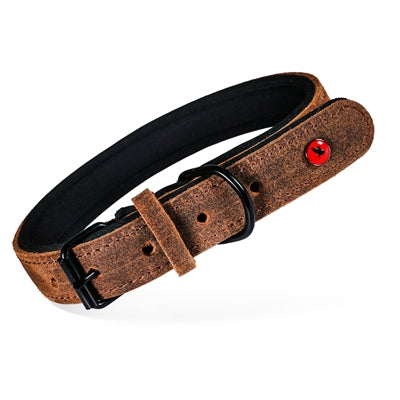 Zolux expert halsband hond premium leer neopreen bruin