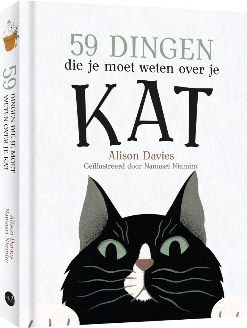 Mus 59 dingen die je moet weten over je kat