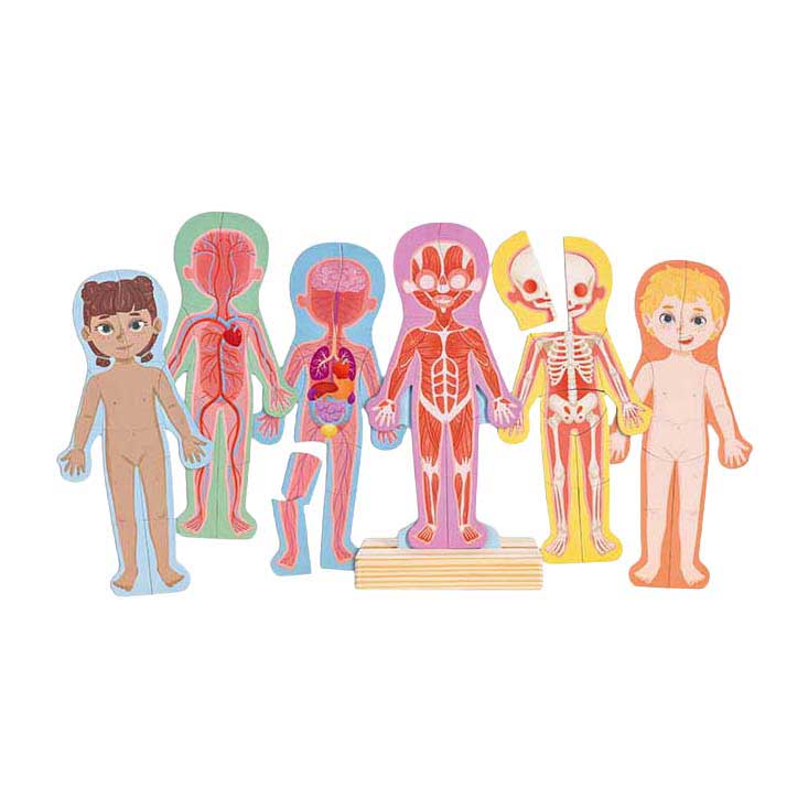 Hape menselijk lichaam magnetische puzzel - 63dlg.