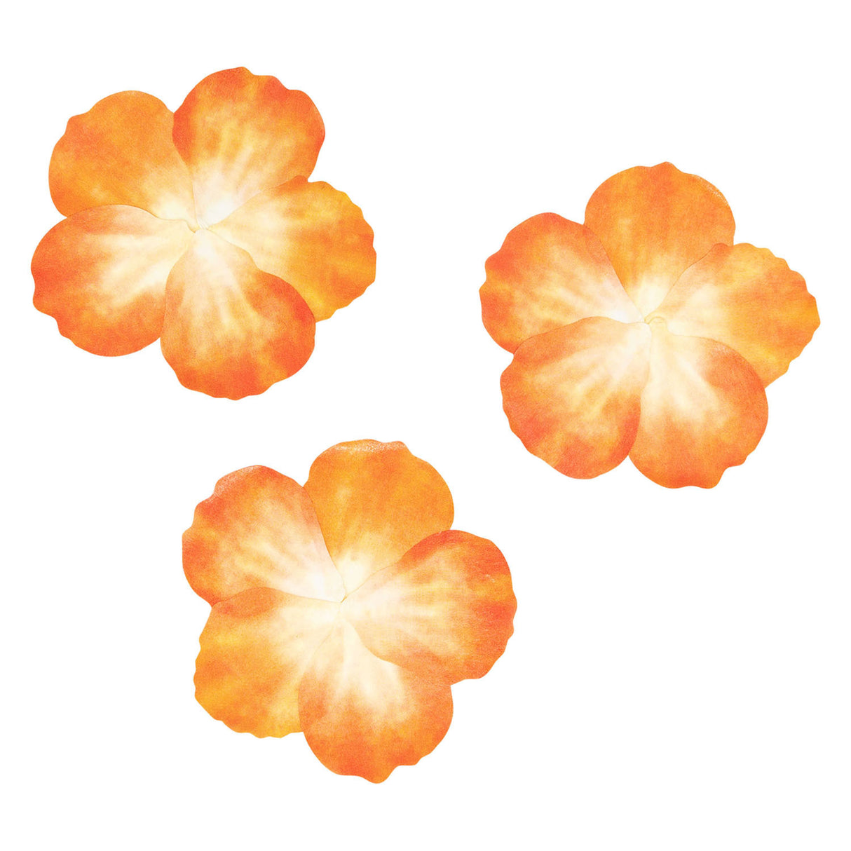 Colorations - washi stickers - oranje bloemblaadjes, 80st.