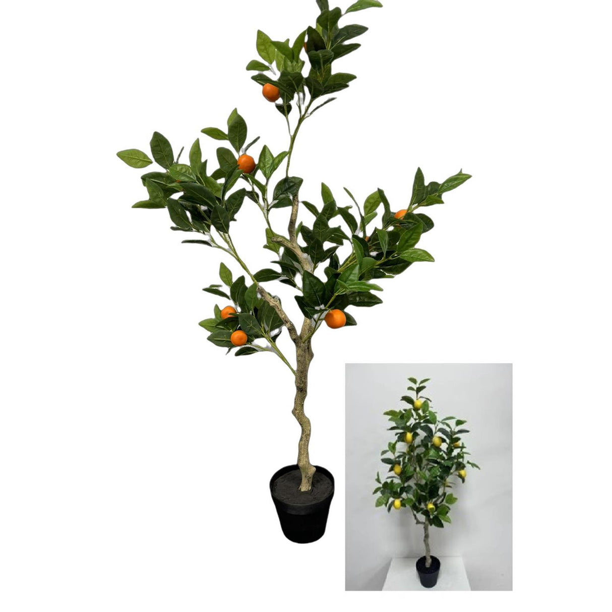 Deco citroen- sinaasappelboom h120cm