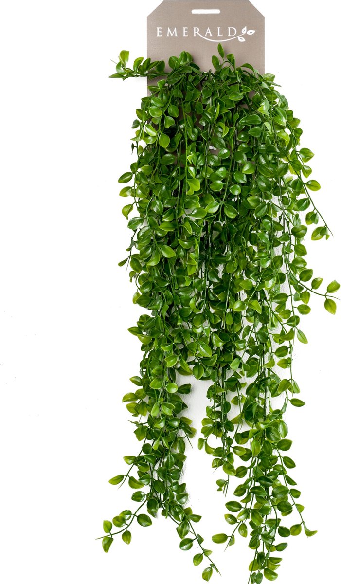 Emerald - kunst hangplant ficus pumila 80cm - kunstplant voor binnen