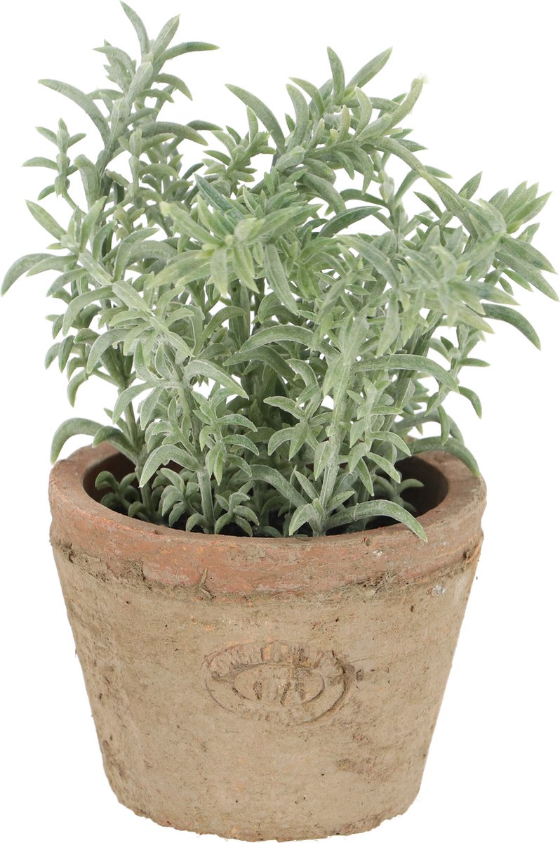 True to nature esschert design - kunstplant tijm in terracotta pot ah001