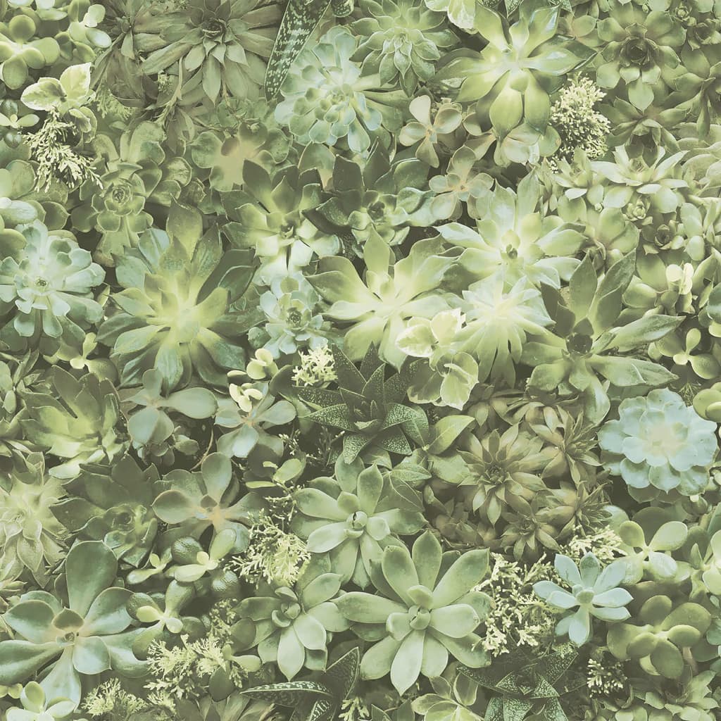 Noordwand behang evergreen succulent groen en beige