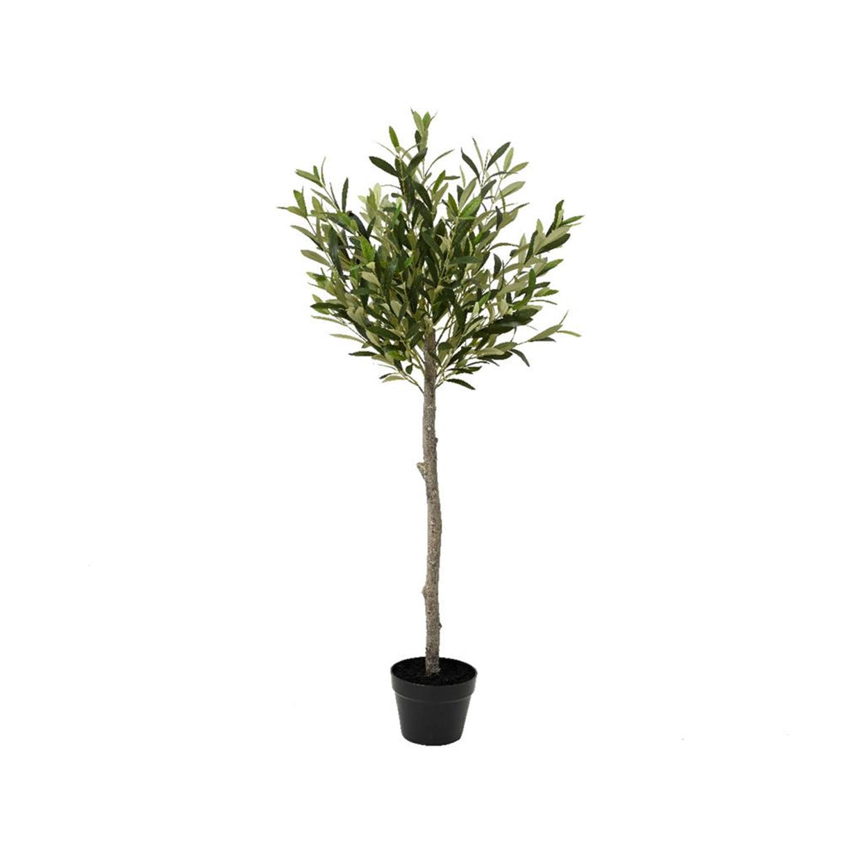 Decoris