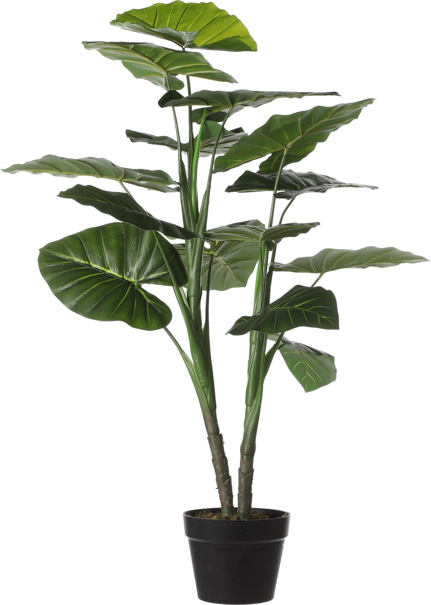 Mica decorations - taro kunstplant - h100 x ø70 cm - groen