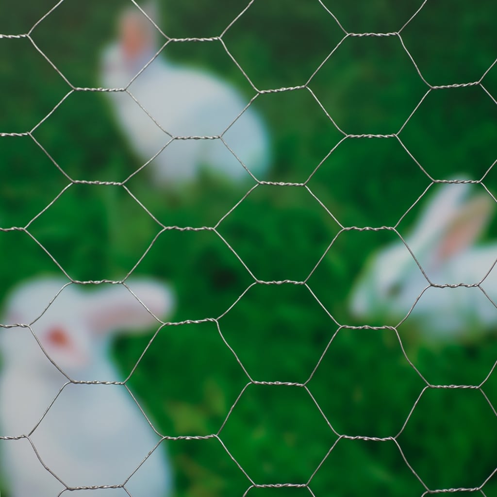Nature gaas zeshoekig 0,5x10 m 25 mm gegalvaniseerd staal