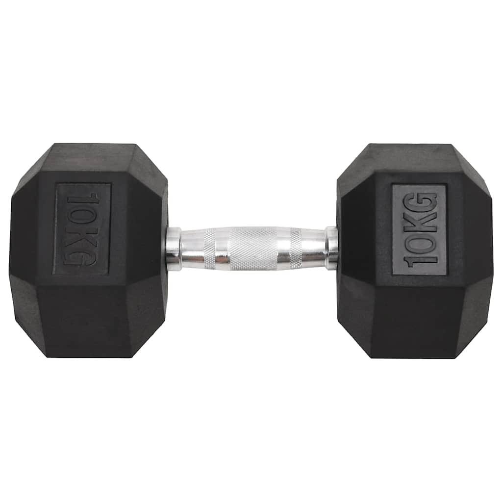Vidaxl halters 2 st 20 kg totaal gietijzer