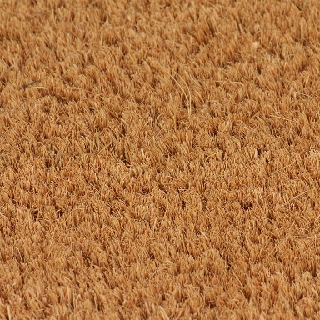 Vidaxl deurmat 80x100 cm getufte kokosvezel naturel