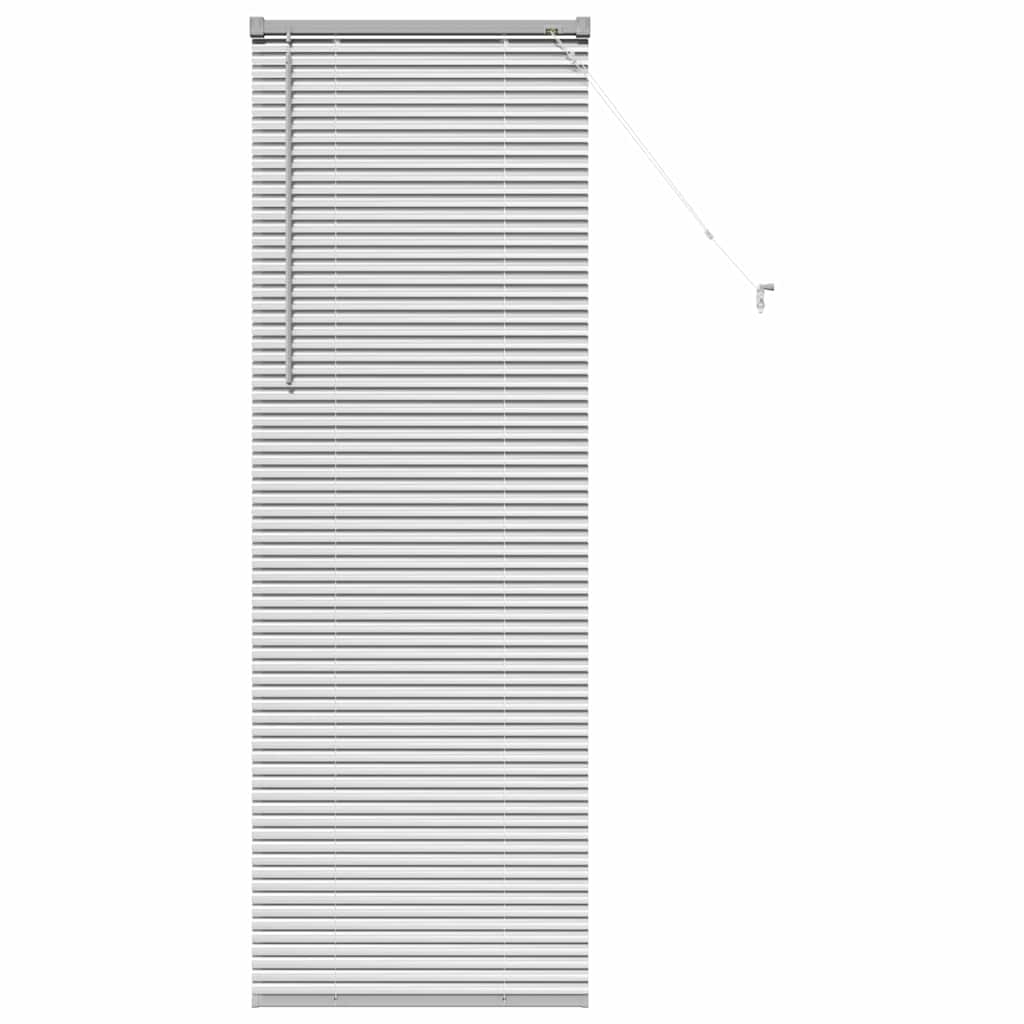 Vidaxl venetiaanse jaloezieën zilver 175 x 55 cm aluminium