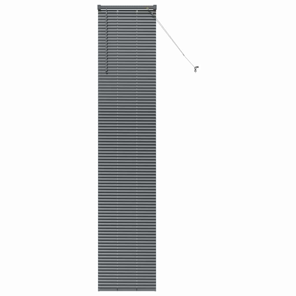 Vidaxl venetiaanse jaloezieën donkergrijs 220 x 50 cm aluminium