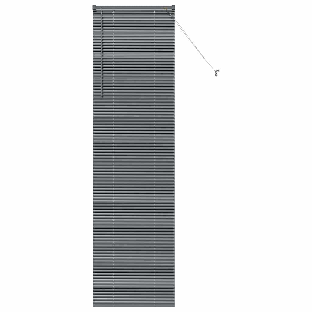 Vidaxl venetiaanse jaloezieën donkergrijs 220 x 55 cm aluminium
