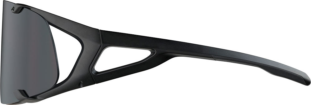 Alpina hawkeye - sports glasses