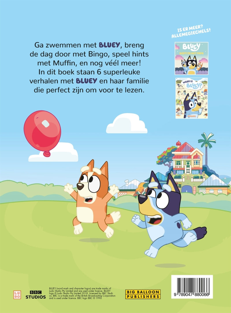 Big balloon bluey dubbeldik verhalenboek