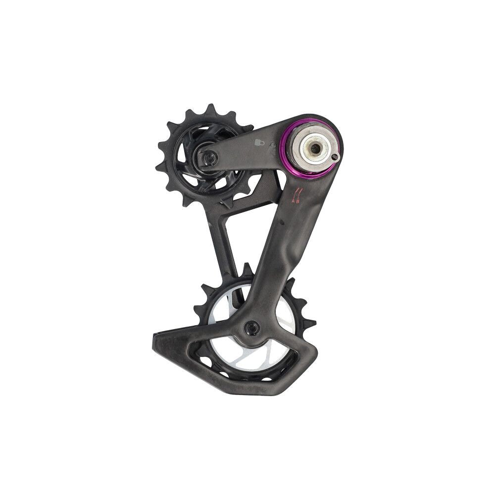 Sram derad xxsl eagle t axs cage kit