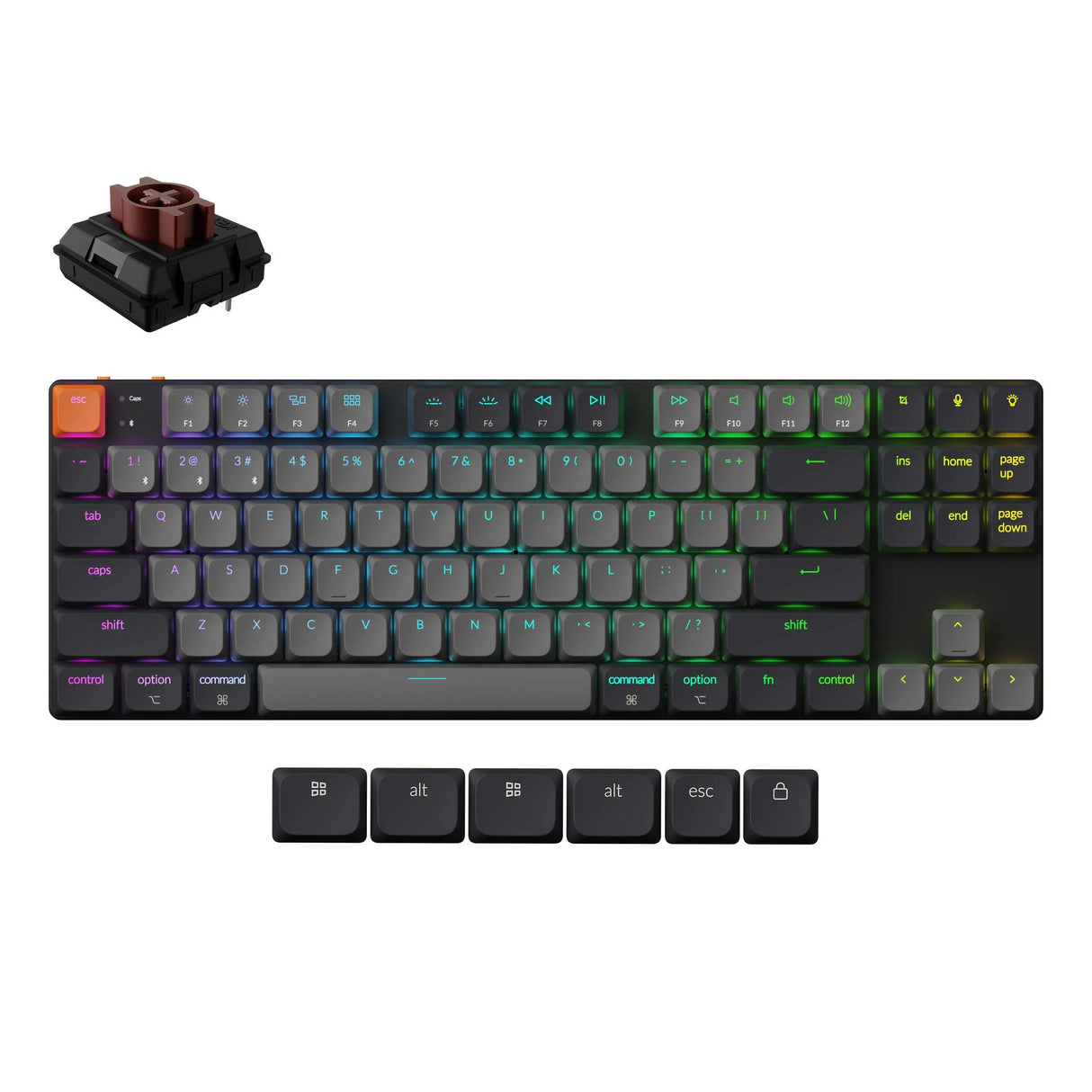 Keychron k1 qmk-h3, toetsenbord (zwart, us lay-out, milk pom brown, 80%, rgb leds, abs keycap, hot swap, usb-c | bluetooth 5.2)
