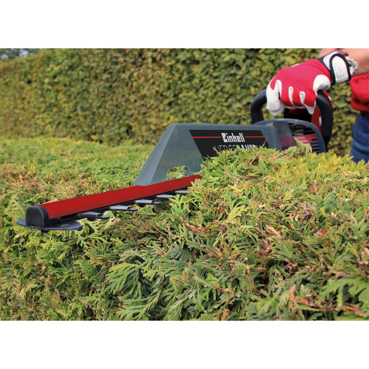 Einhell heggenschaar gc-eh 6055 1 (rood zwart, 600w)