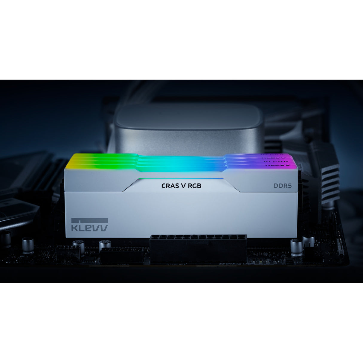 Klevv 32 gb ddr5-6000 (2x 16 gb) kit werkgeheugen (wit, kd5agua80-60a300j, cras v rgb, xmp 3.0, expo)